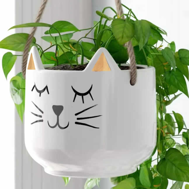 Maceta para plantas suculentas, macetas de cerámica para interiores, gatito blanco colgante